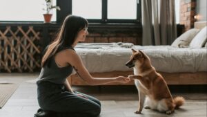 Cómo cortar las uñas de tu perro en casa sin estrés: guía paso a paso