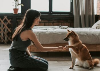 Cómo cortar las uñas de tu perro en casa sin estrés: guía paso a paso
