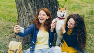 Cómo enseñar a tu perro a no saltar sobre las personas: adiestramiento positivo paso a paso