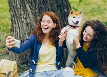 Cómo enseñar a tu perro a no saltar sobre las personas: adiestramiento positivo paso a paso