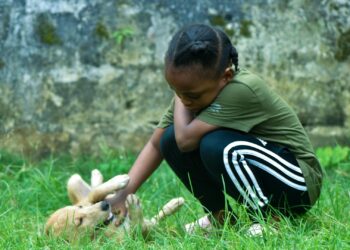 Niña jugando con un cachorro en el jardín, ejemplo de perros para niños