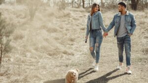 Espigas en perros: peligros, síntomas y prevención