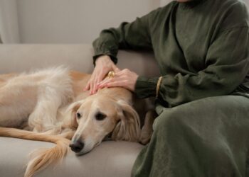 Persona en casa con su perro mientras calcula cuánto cuesta tener un perro
