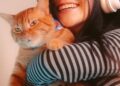 Los mejores gatos para niños: gato cariñoso abrazado en casa por un miembro de la familia