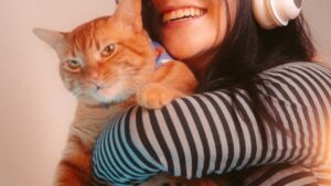 Gatos para niños: las mejores razas para tu familia