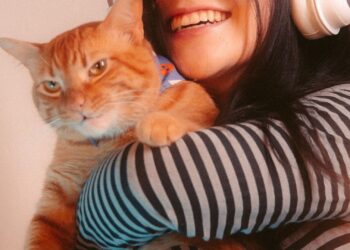 Los mejores gatos para niños: gato cariñoso abrazado en casa por un miembro de la familia