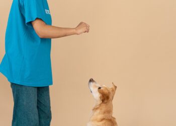 Mujer adiestrando a su perro con clicker para perros y refuerzo positivo en casa