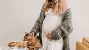 Toxoplasmosis en gatos y embarazo: riesgos y prevención