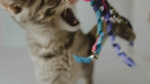 Mejores juguetes para gatos: guía de compra 2026